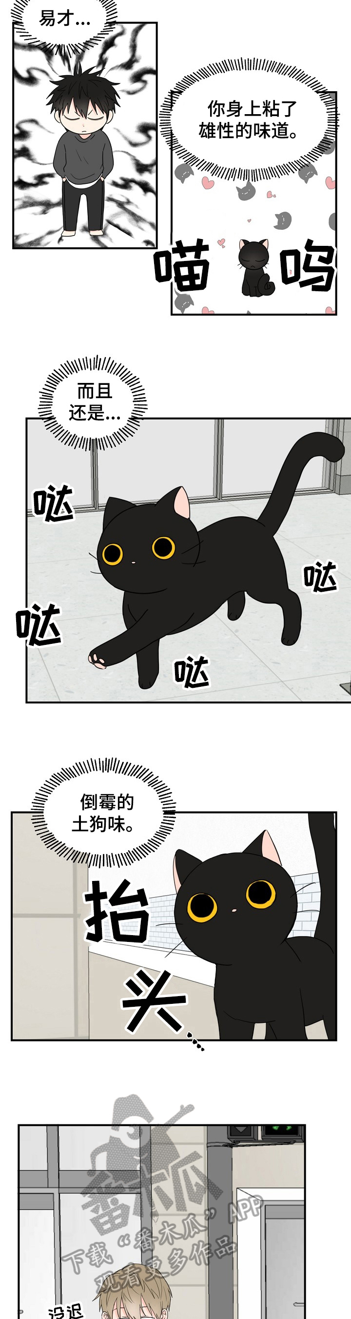 漫画《幸运猫》在线完整版阅读_幸运猫漫画（无弹窗）
