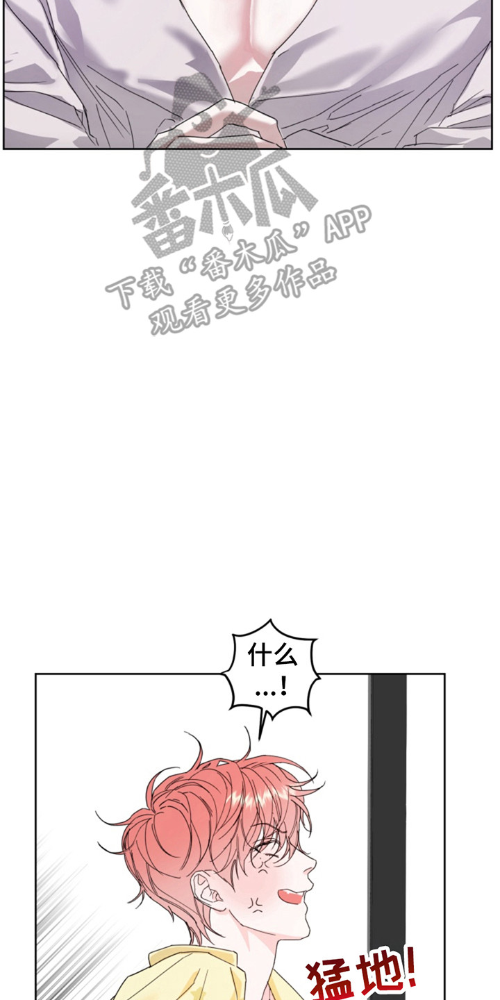 漫画《从天而降的伙伴》在线完整版阅读_从天而降的伙伴漫画（无弹窗）