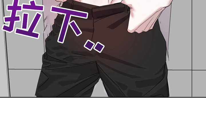 漫画《从天而降的伙伴》在线完整版阅读_从天而降的伙伴漫画（无弹窗）