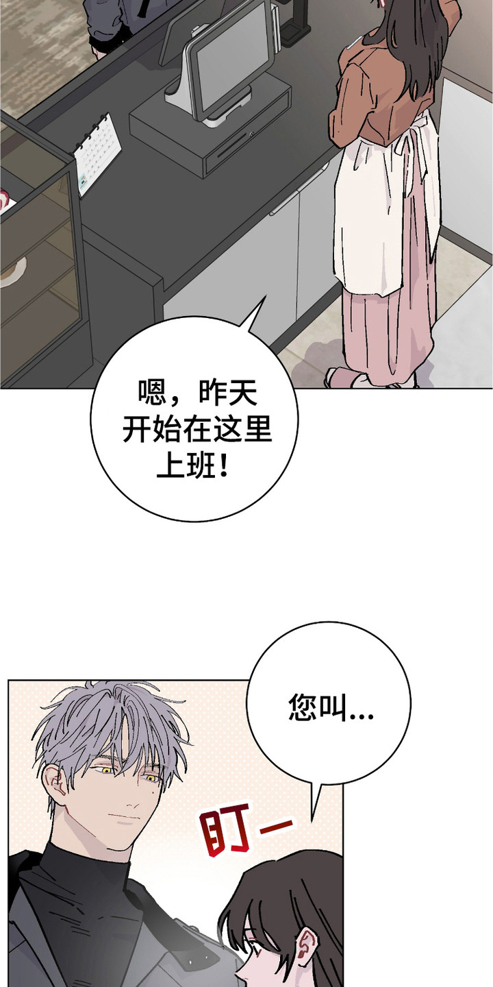 西柚《被偏爱的瑕疵》漫画在线下拉_被偏爱的瑕疵漫画浮云（下拉式阅读）