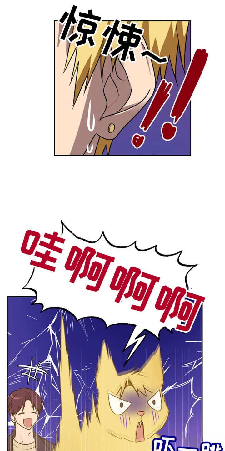 西柚《特殊吸引力》漫画在线下拉_特殊吸引力漫画浮云（下拉式阅读）