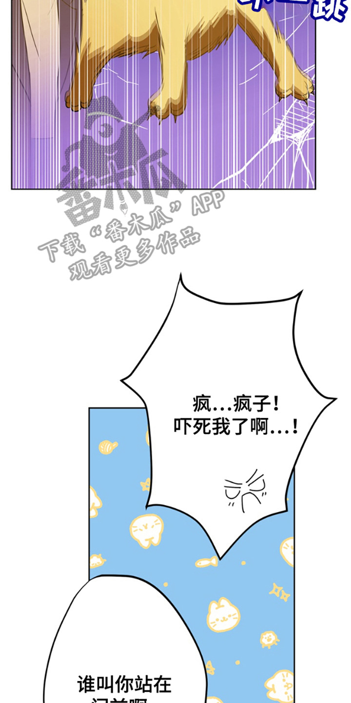 西柚《特殊吸引力》漫画在线下拉_特殊吸引力漫画浮云（下拉式阅读）