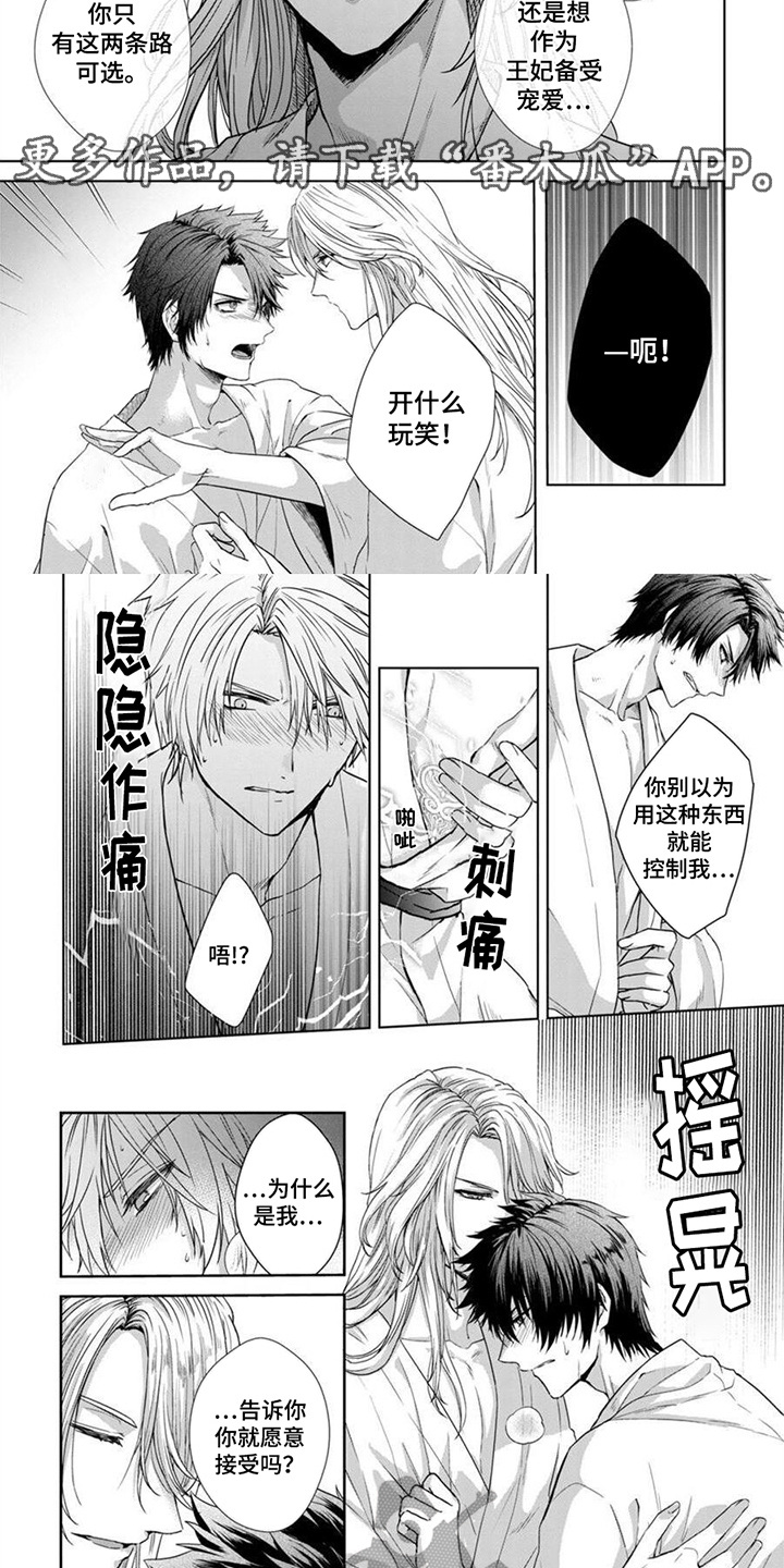 漫画《新娘纹章》在线完整版阅读_新娘纹章漫画（无弹窗）