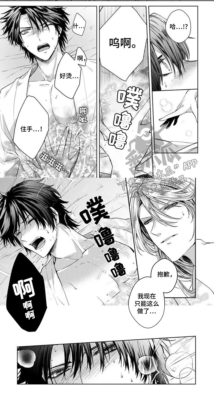 漫画《新娘纹章》在线完整版阅读_新娘纹章漫画（无弹窗）