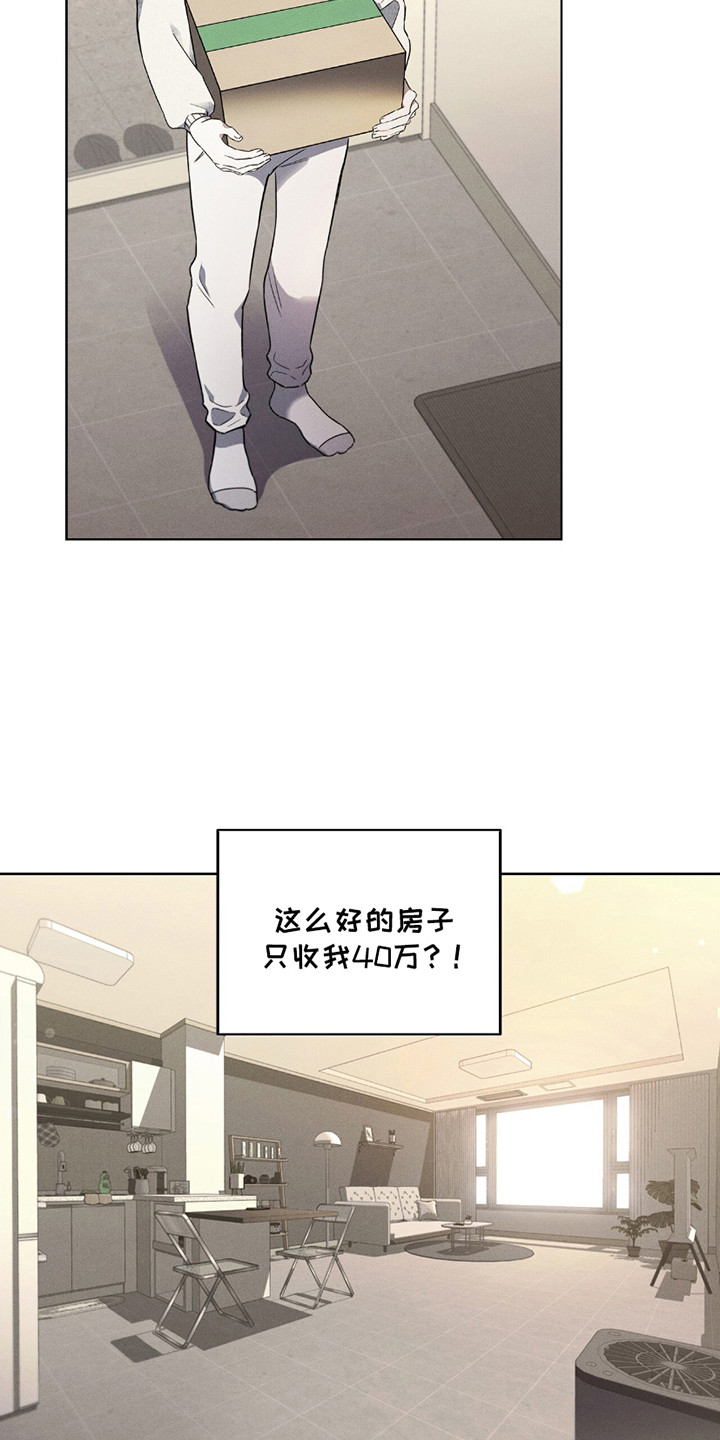 漫画《非浪漫时代》在线完整版阅读_非浪漫时代漫画（无弹窗）