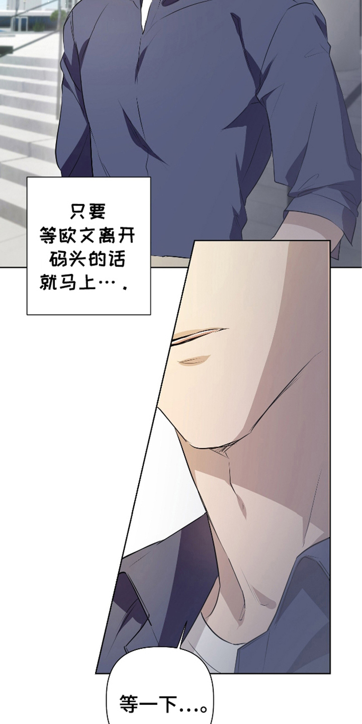 西柚《完全欧米伽》漫画在线下拉_完全欧米伽漫画浮云（下拉式阅读）