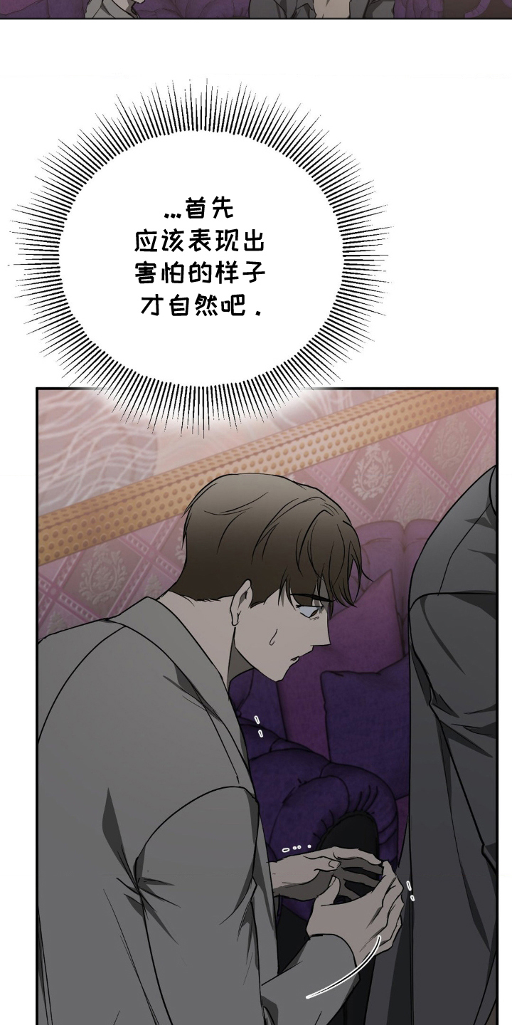 漫画《命令统治》在线完整版阅读_命令统治漫画（无弹窗）