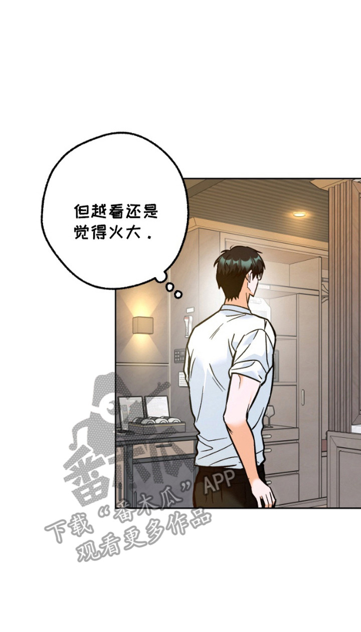 漫画《职业开发人员》在线完整版阅读_职业开发人员漫画（无弹窗）