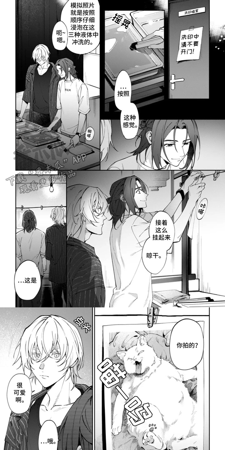漫画《别样摄影》在线完整版阅读_别样摄影漫画（无弹窗）