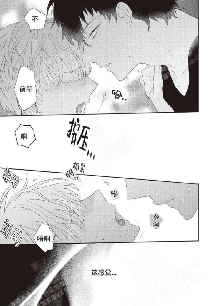 漫画《米斯塔》在线完整版阅读_米斯塔漫画（无弹窗）