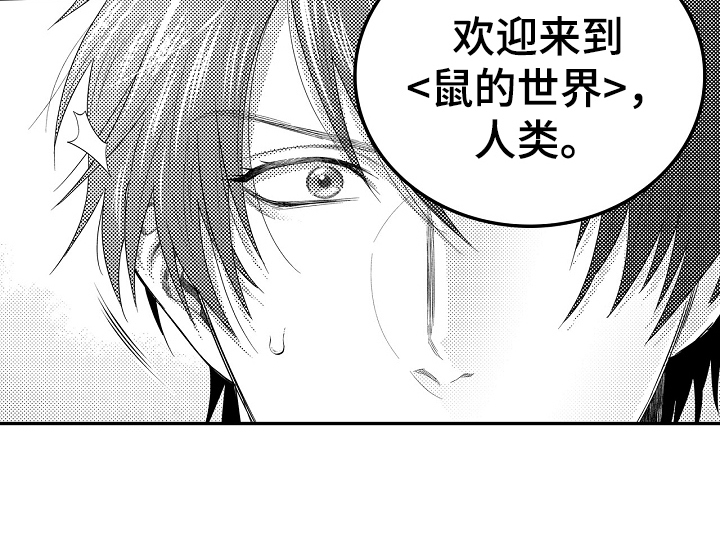 漫画《鼠之国度》在线完整版阅读_鼠之国度漫画（无弹窗）