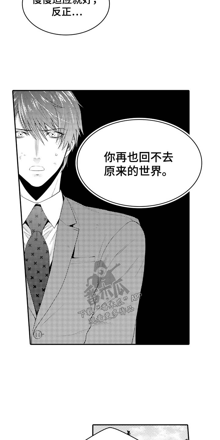 漫画《鼠之国度》在线完整版阅读_鼠之国度漫画（无弹窗）