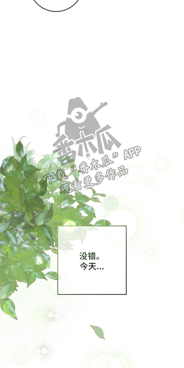 漫画《爱上骑士团团长》在线完整版阅读_爱上骑士团团长漫画（无弹窗）