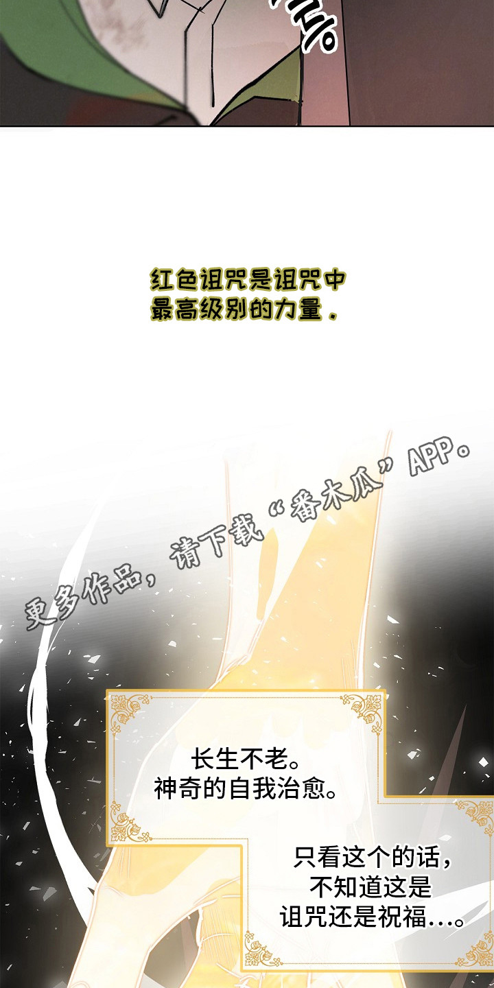 漫画《赤色铁骑》在线完整版阅读_赤色铁骑漫画（无弹窗）