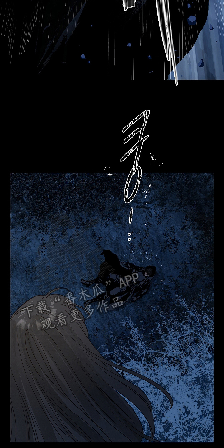 漫画《花是诱饵》在线完整版阅读_花是诱饵漫画（无弹窗）