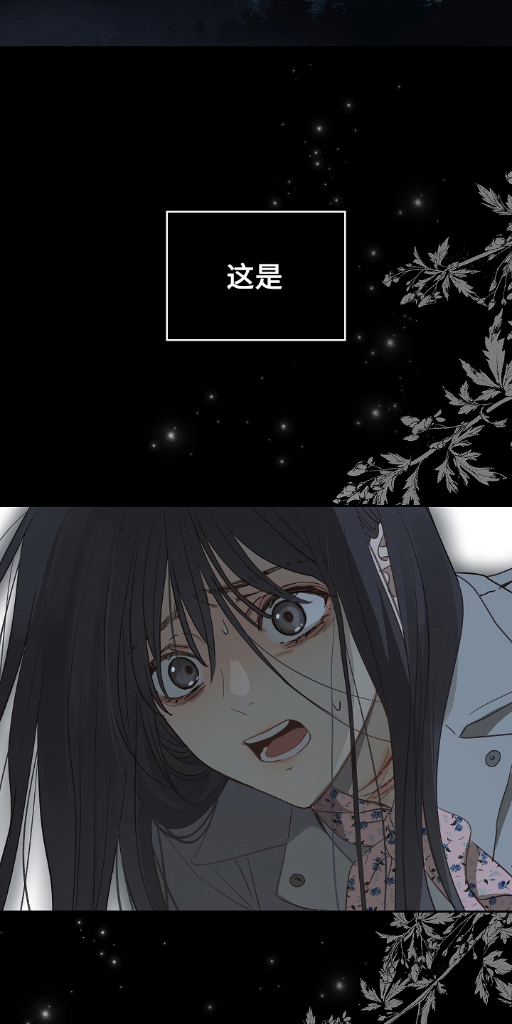 漫画《花是诱饵》在线完整版阅读_花是诱饵漫画（无弹窗）