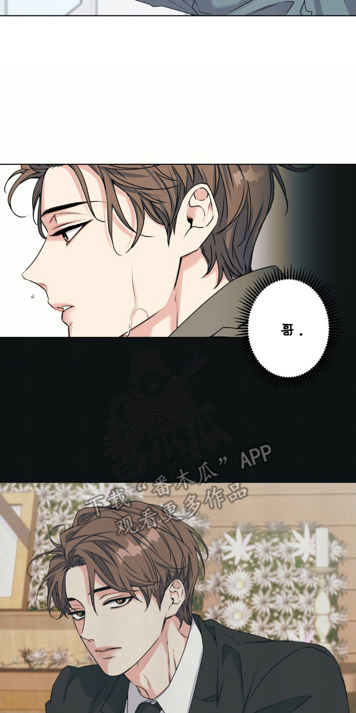 漫画《融冰曲线》在线完整版阅读_融冰曲线漫画（无弹窗）
