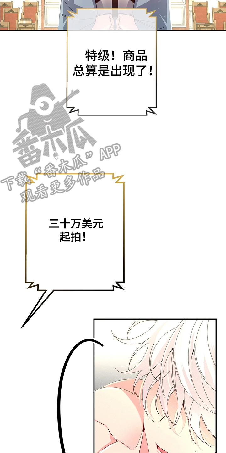 漫画《美男鱼的使用方法》在线完整版阅读_美男鱼的使用方法漫画（无弹窗）