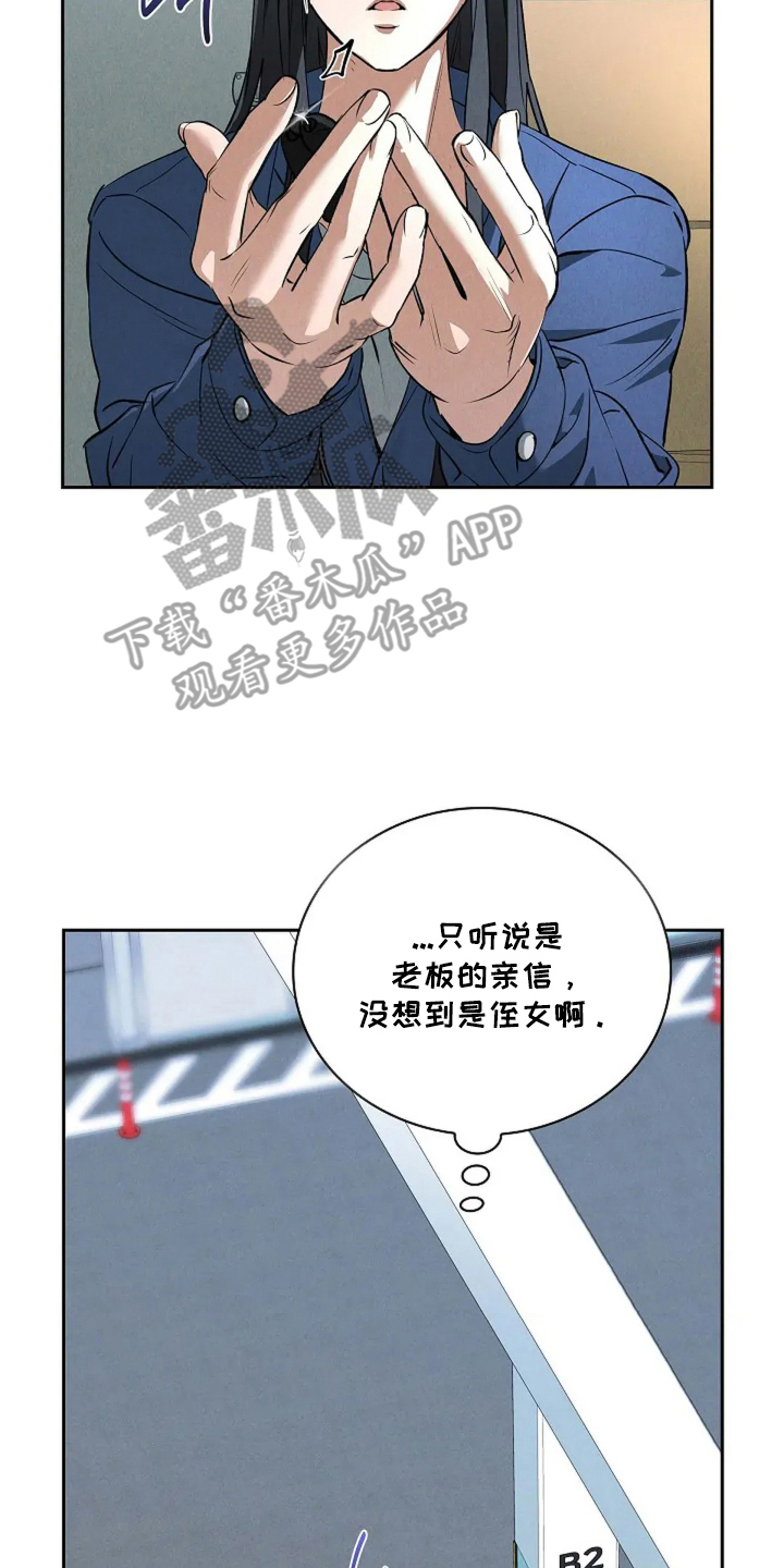 漫画《黑金迷局》在线完整版阅读_黑金迷局漫画（无弹窗）