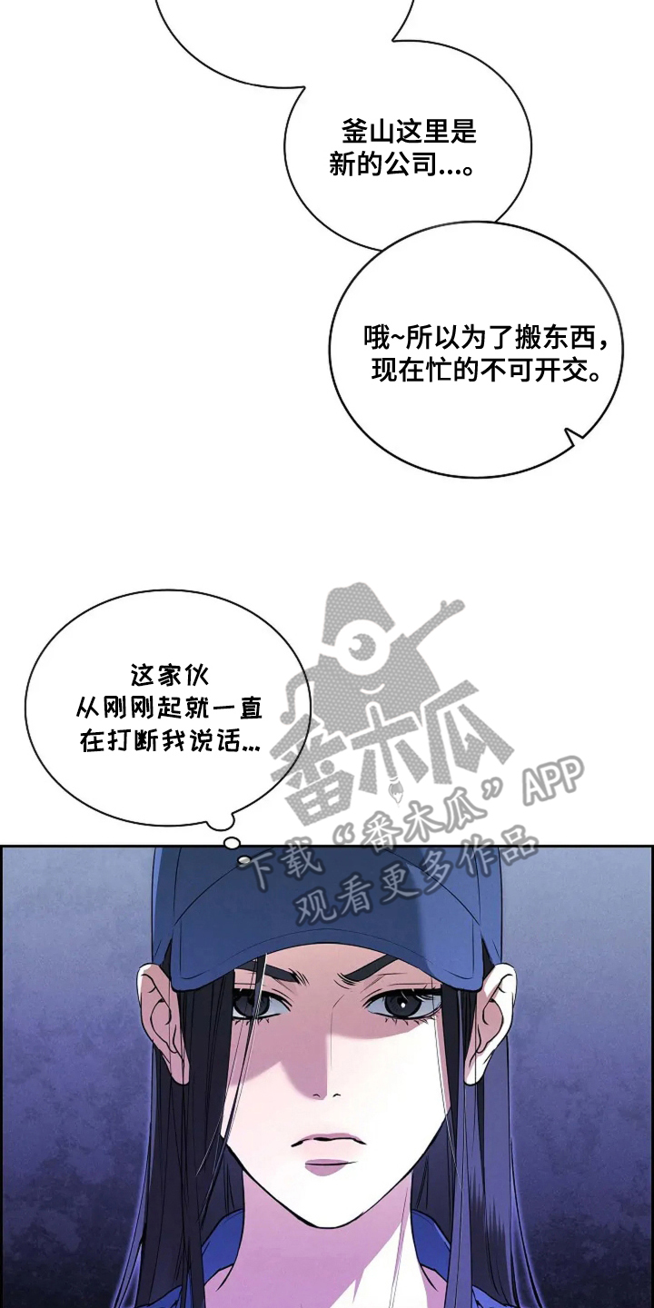 漫画《黑金迷局》在线完整版阅读_黑金迷局漫画（无弹窗）