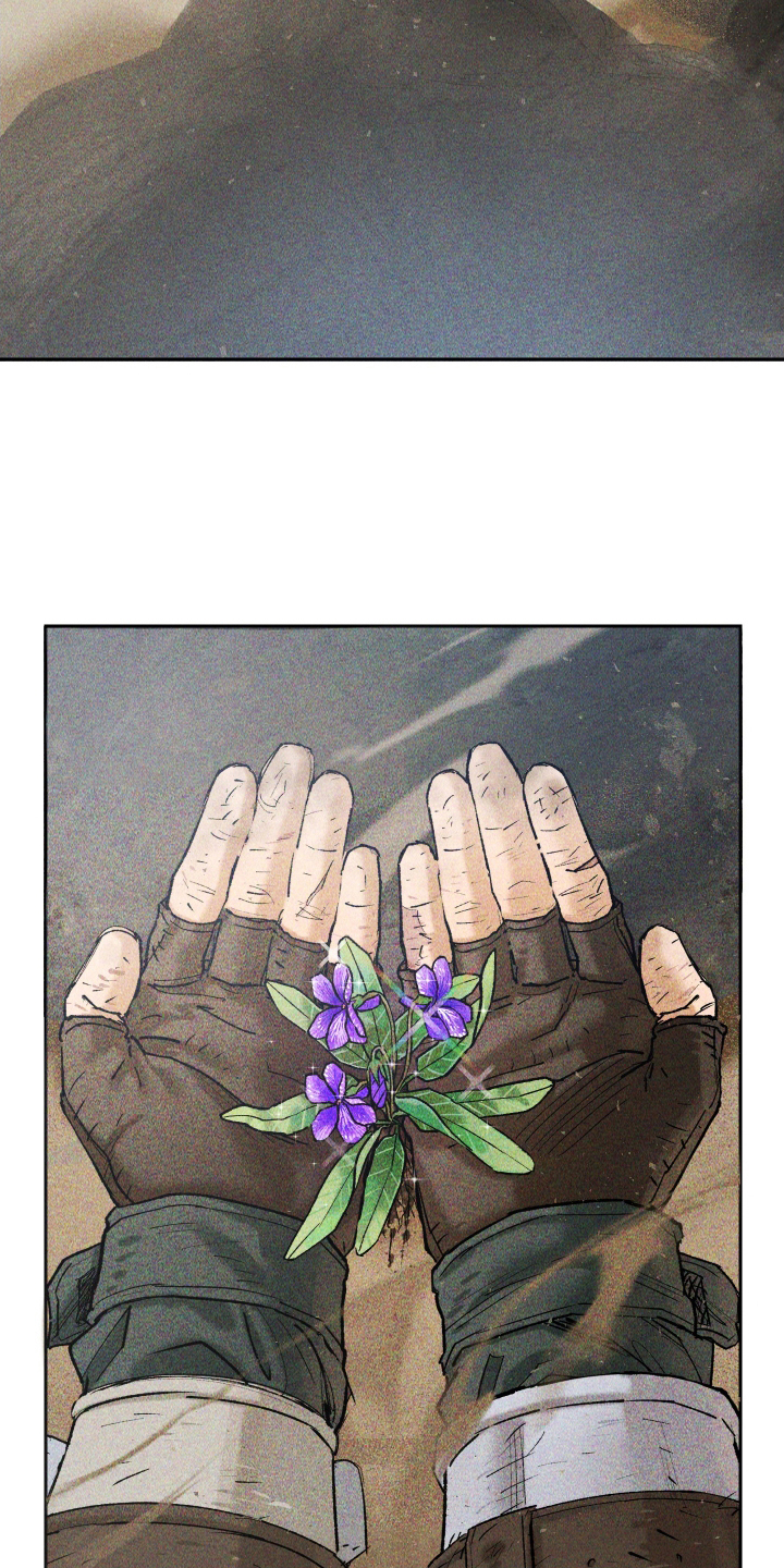 漫画《紫罗兰协议》在线完整版阅读_紫罗兰协议漫画（无弹窗）