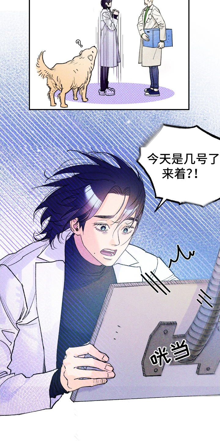 漫画《紫罗兰协议》在线完整版阅读_紫罗兰协议漫画（无弹窗）