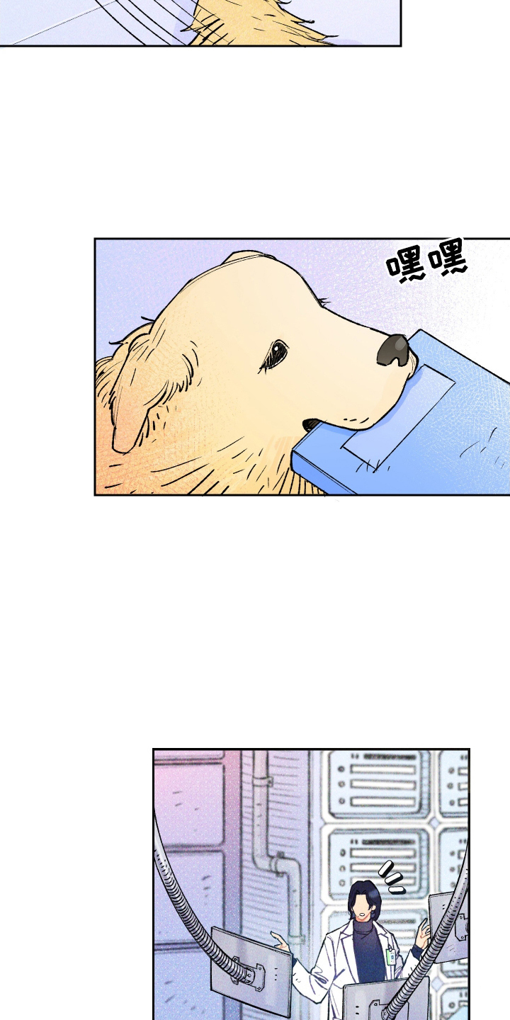 漫画《紫罗兰协议》在线完整版阅读_紫罗兰协议漫画（无弹窗）