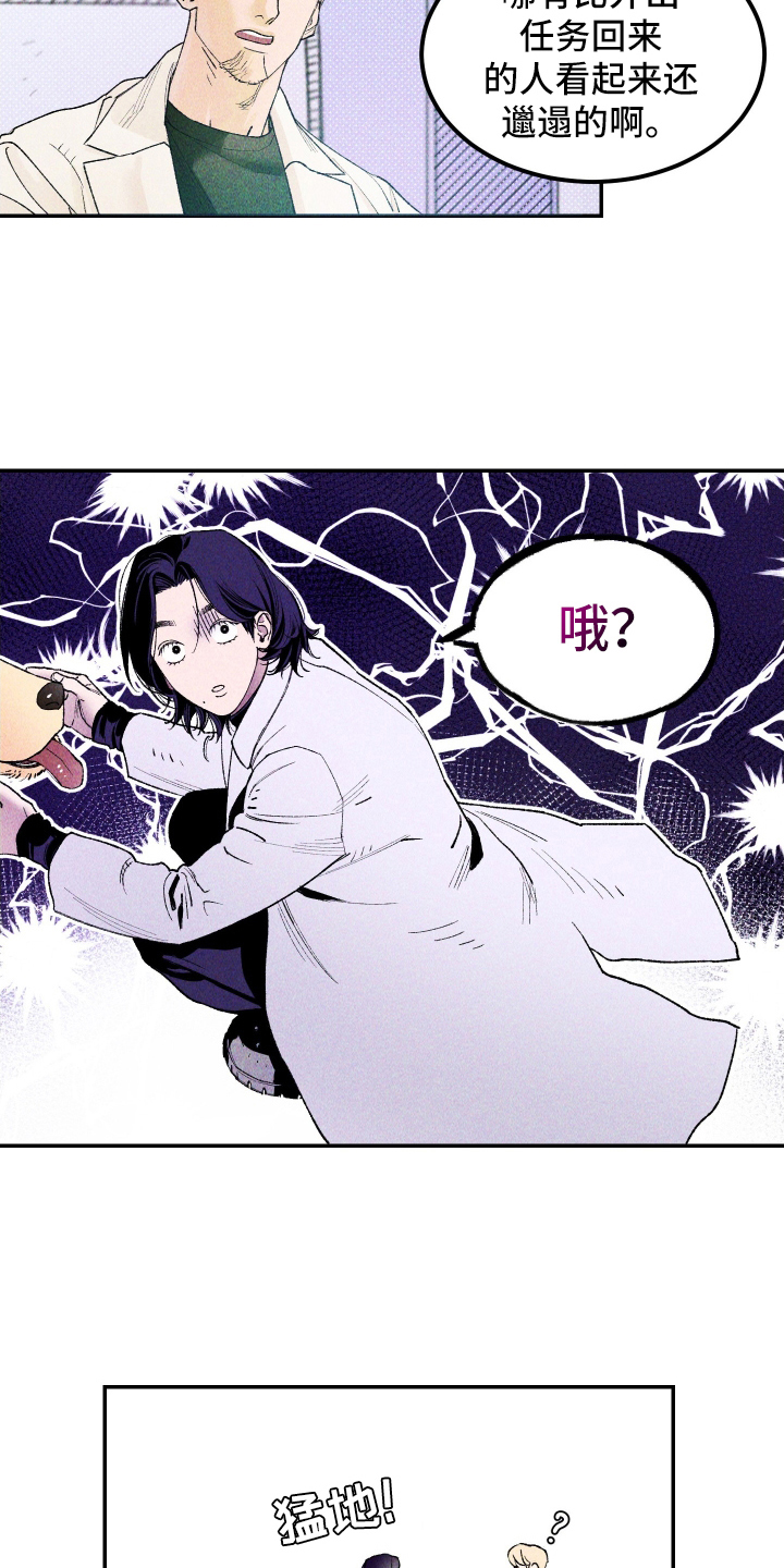 漫画《紫罗兰协议》在线完整版阅读_紫罗兰协议漫画（无弹窗）