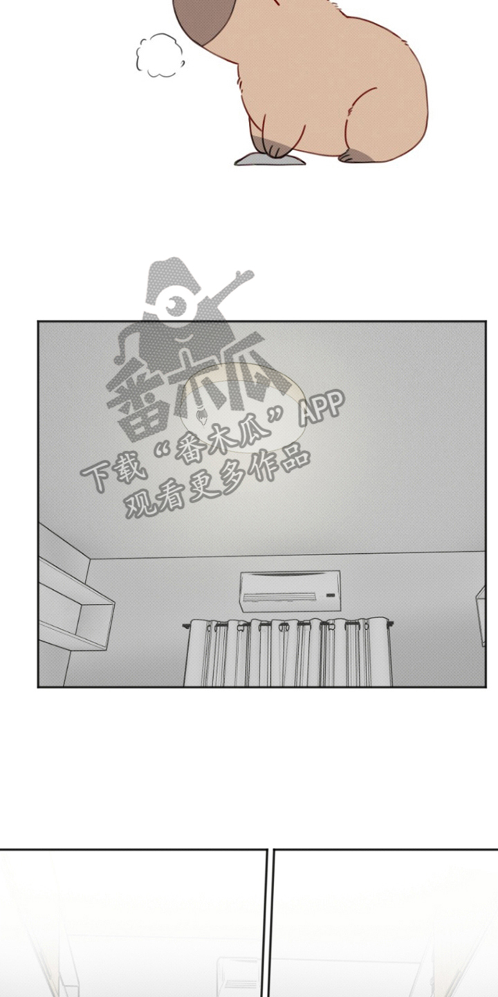 漫画《丘比特的诅咒》在线完整版阅读_丘比特的诅咒漫画（无弹窗）