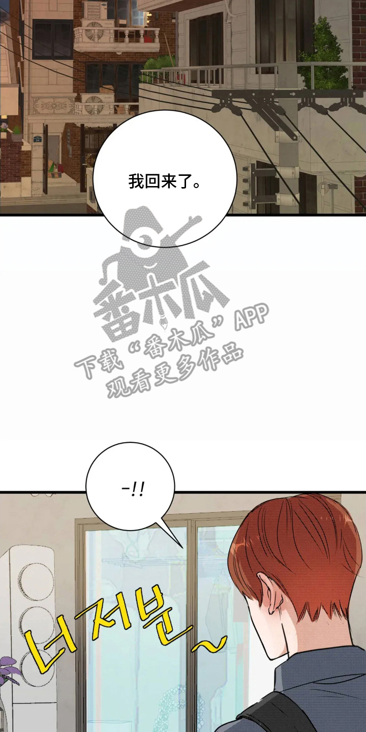 漫画《月亮和祖母绿》在线完整版阅读_月亮和祖母绿漫画（无弹窗）