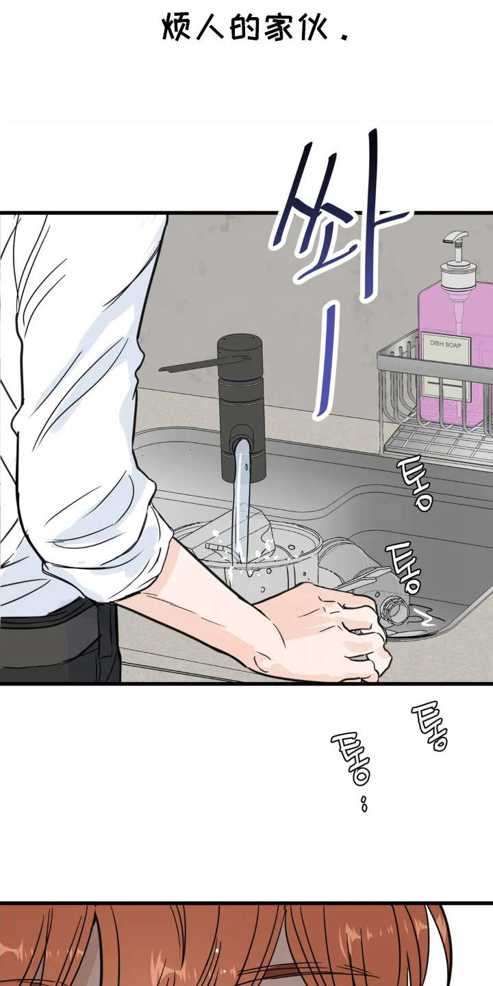 漫画《月亮和祖母绿》在线完整版阅读_月亮和祖母绿漫画（无弹窗）