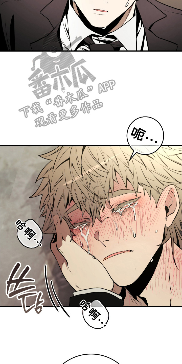 漫画《指尖囚笼》在线完整版阅读_指尖囚笼漫画（无弹窗）