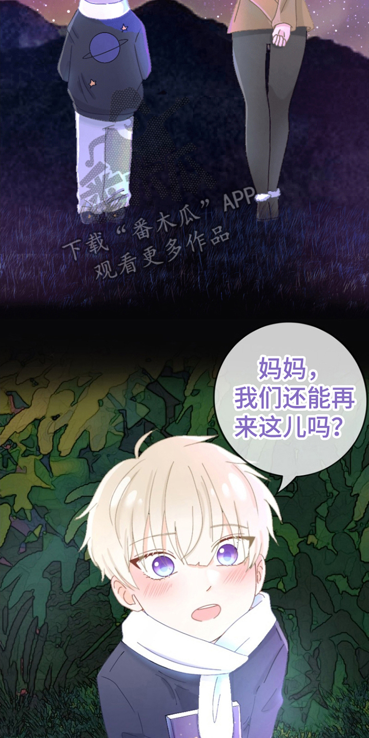 漫画《星坠于他》在线完整版阅读_星坠于他漫画（无弹窗）