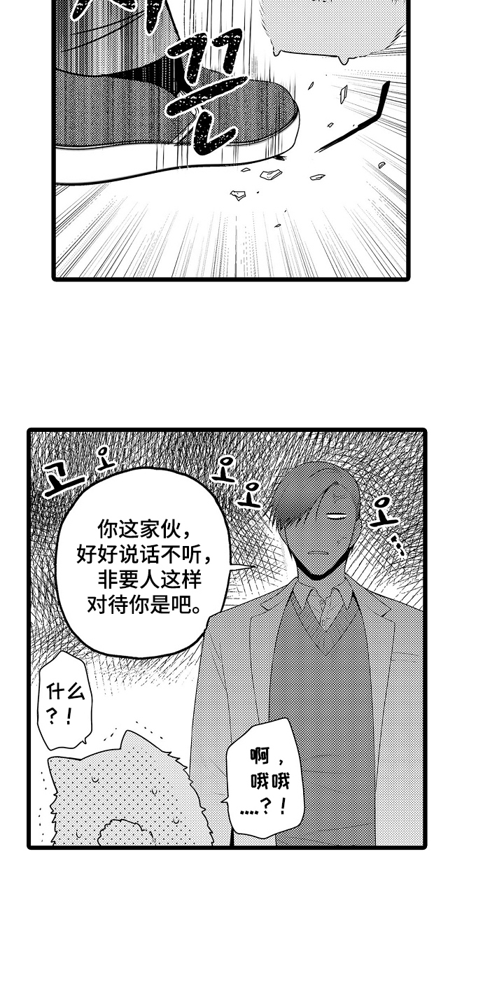 不良校医物语