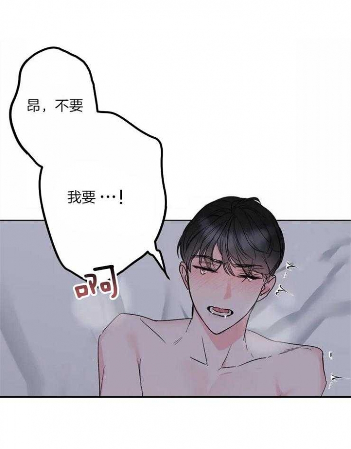 漫画《新的顺牌》在线完整版阅读_新的顺牌漫画（无弹窗）