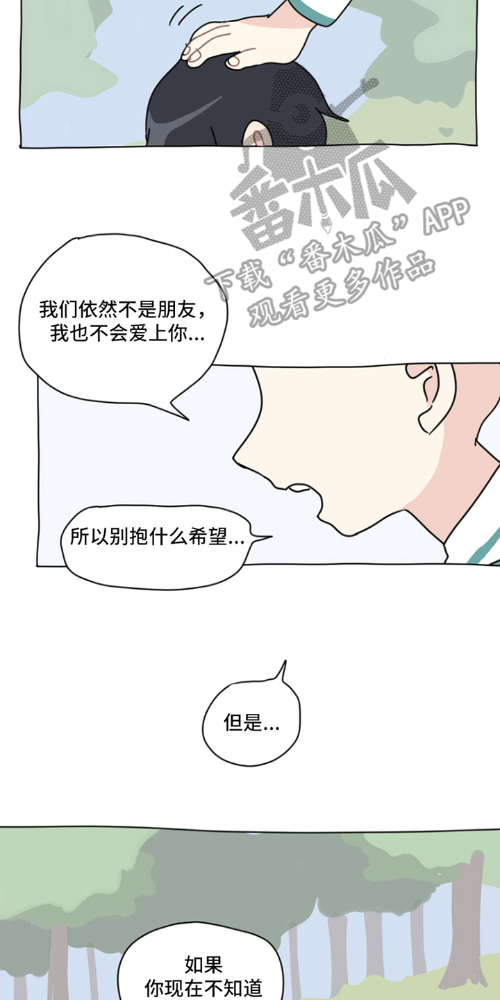 无解的红线