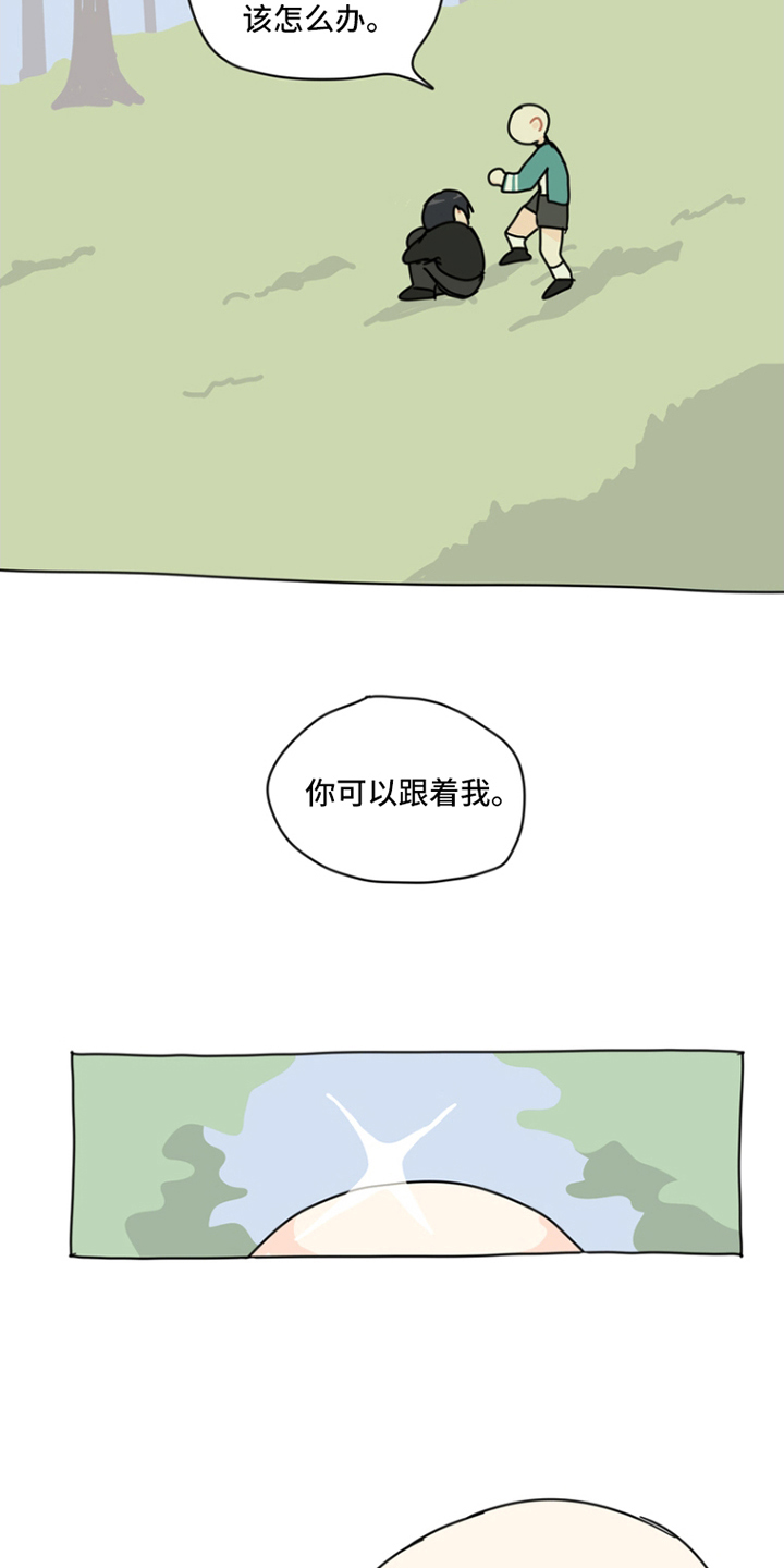 无解的红线
