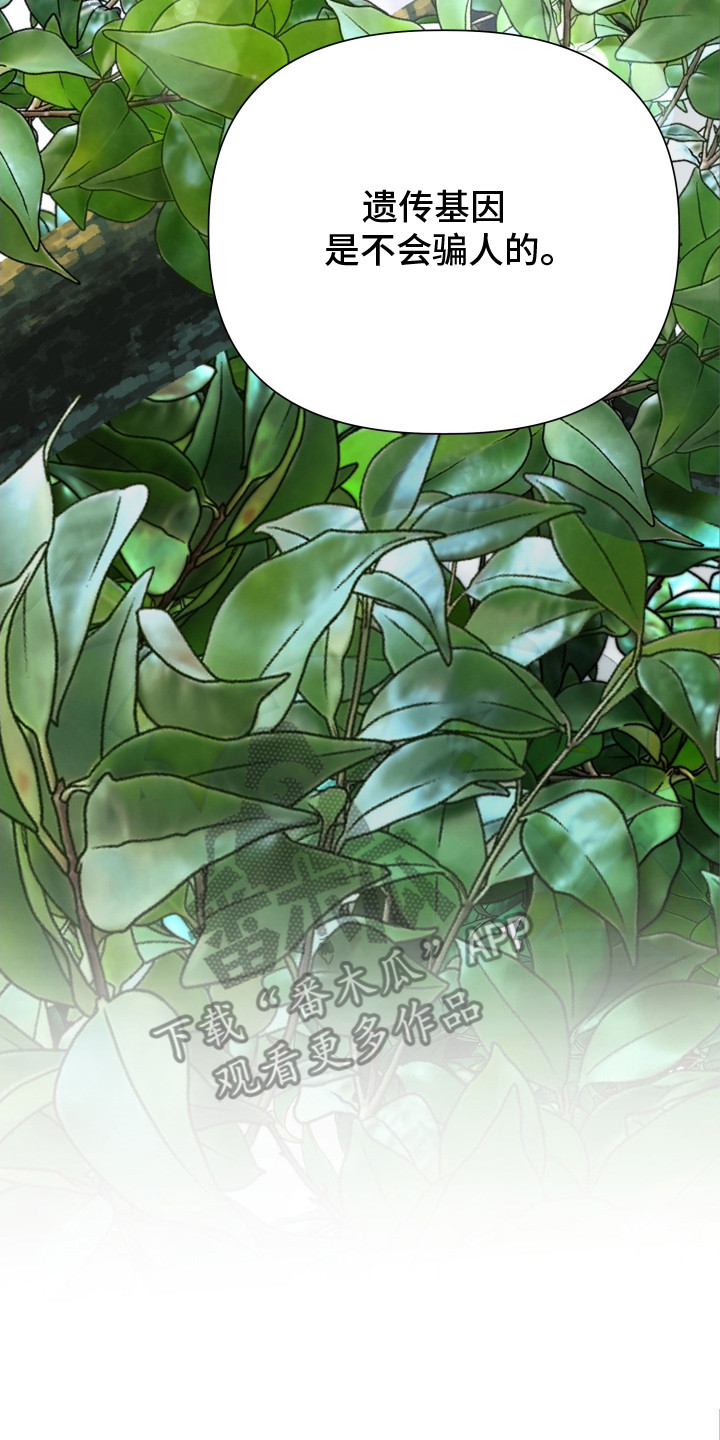 西柚《隐燃分化》漫画在线下拉_隐燃分化漫画浮云（下拉式阅读）