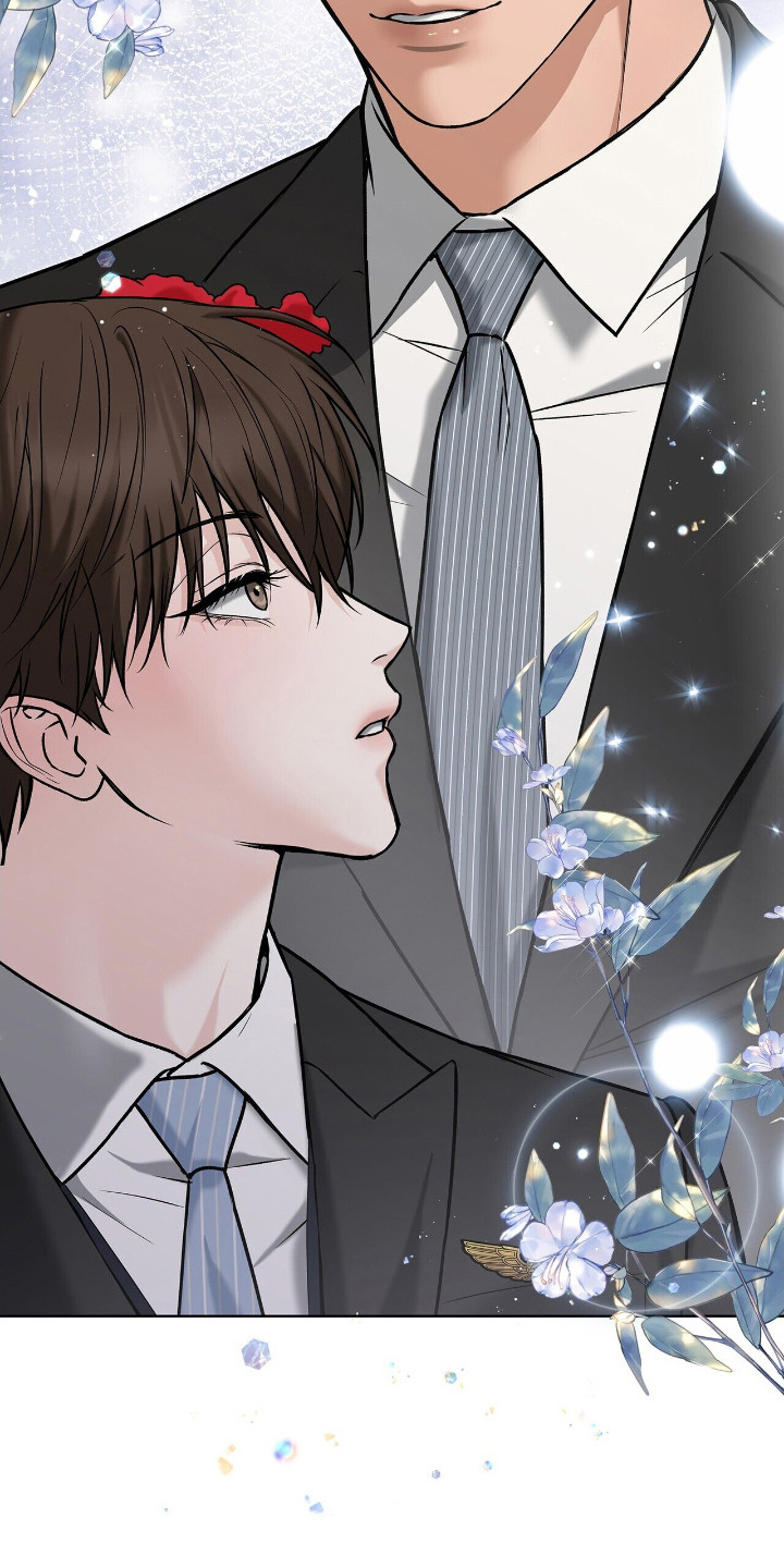 漫画《机长密约》在线完整版阅读_机长密约漫画（无弹窗）