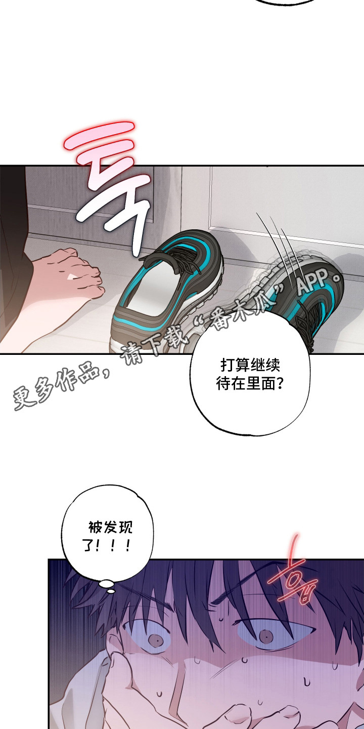 饲爱游戏