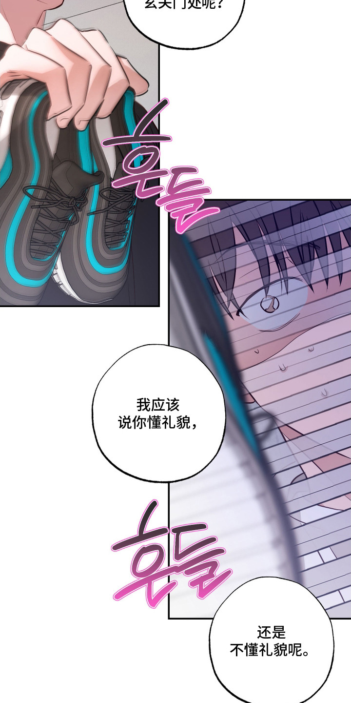 饲爱游戏