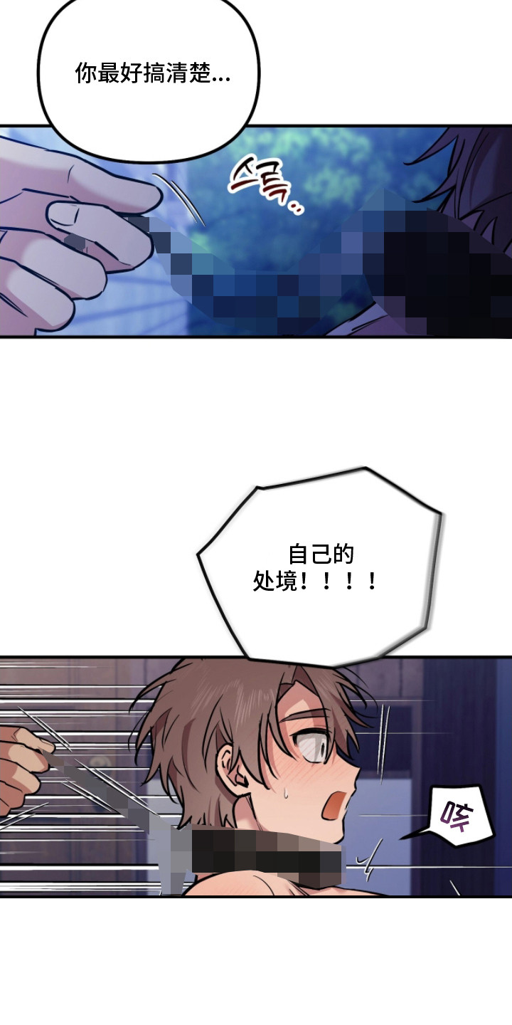 活体快递