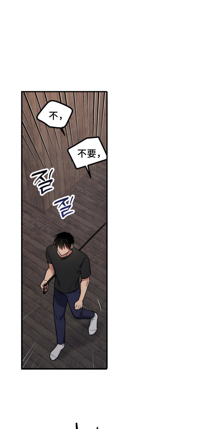 活体快递