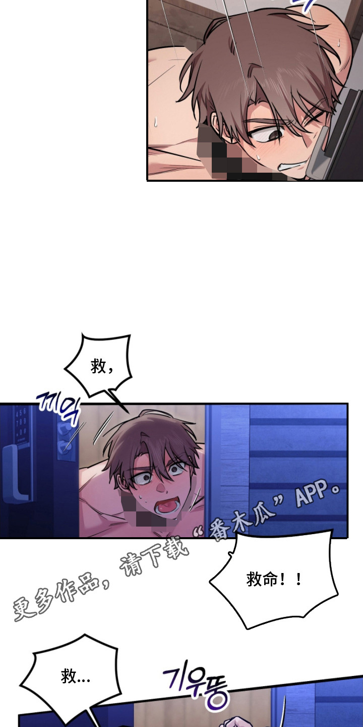 活体快递