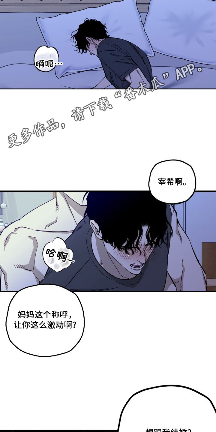 禁忌之绊粉丝信