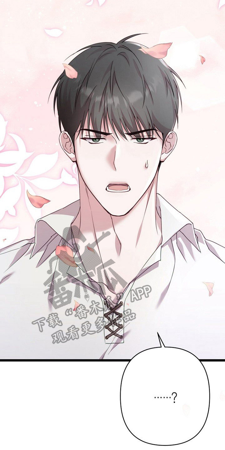 西柚《天命拍档》漫画在线下拉_天命拍档漫画浮云（下拉式阅读）