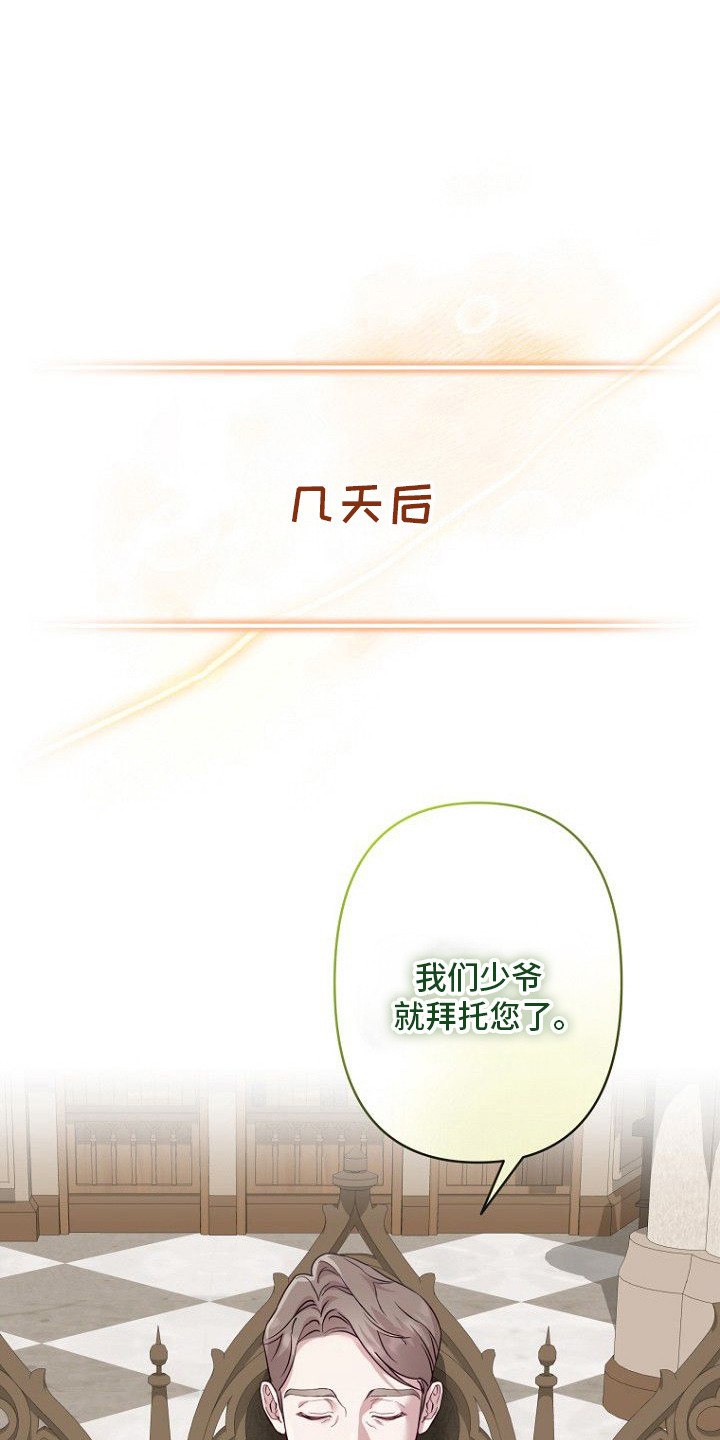天命拍档