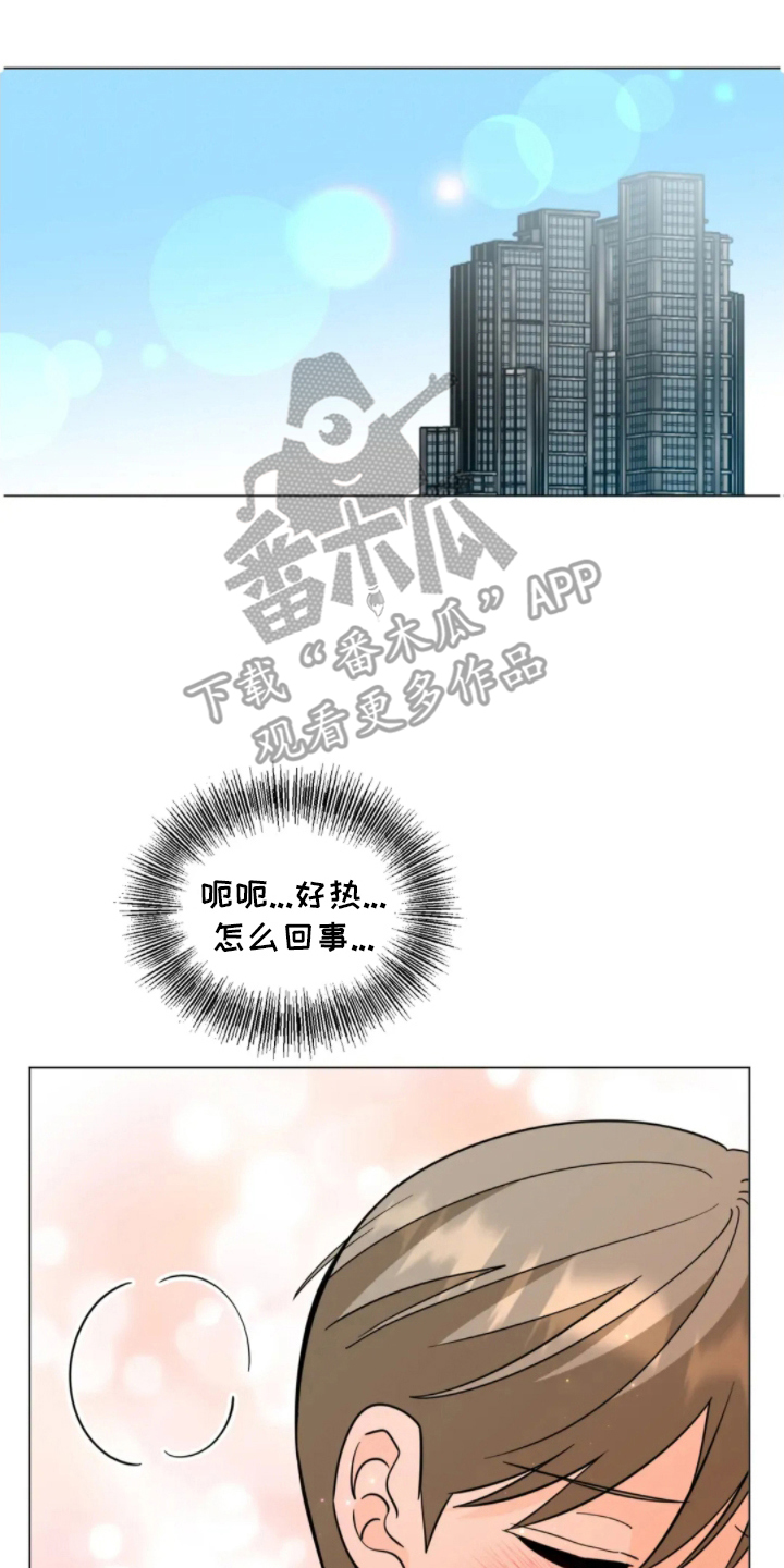前辈的床边告白
