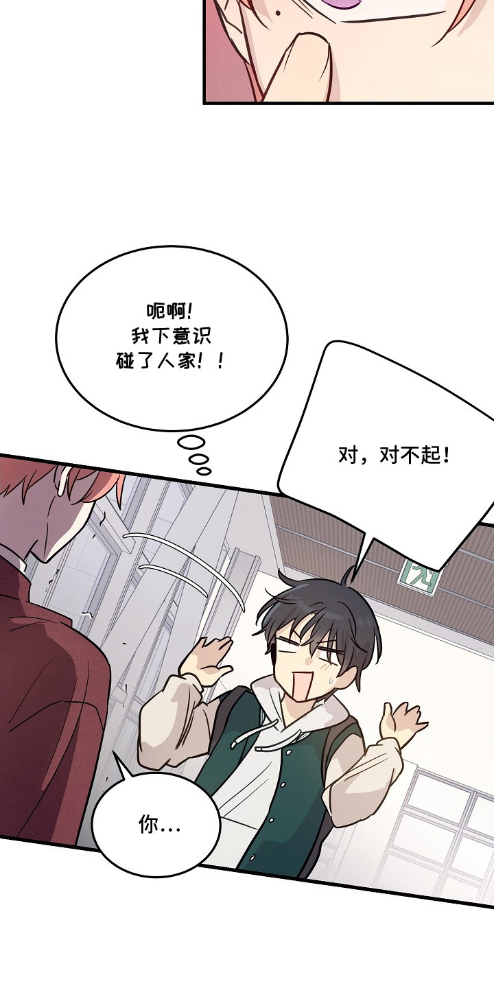 双生心跳