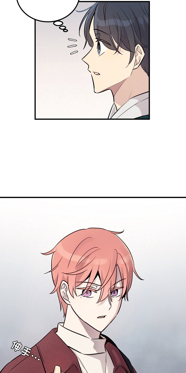 双生心跳